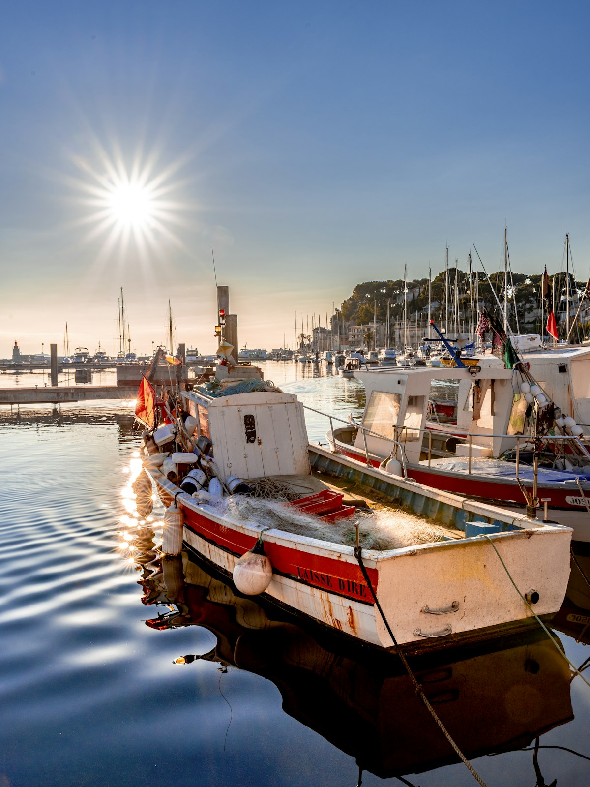 Sportfishing charter boats at Cabo San Lucas marina